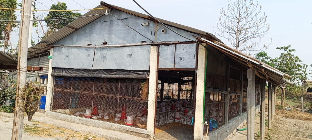 Mechi Meat Agro Farm Photos (2)