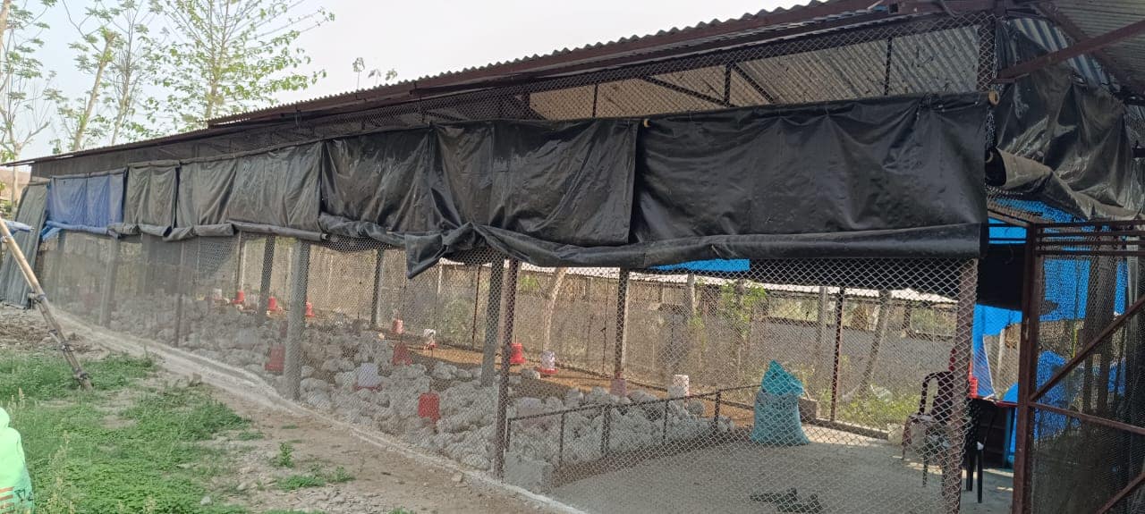 Mechi Meat Agro Farm Photos (4)