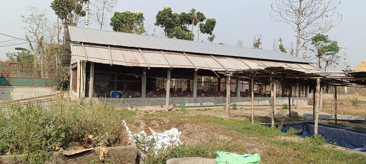 Mechi Meat Agro Farm Photos (5)